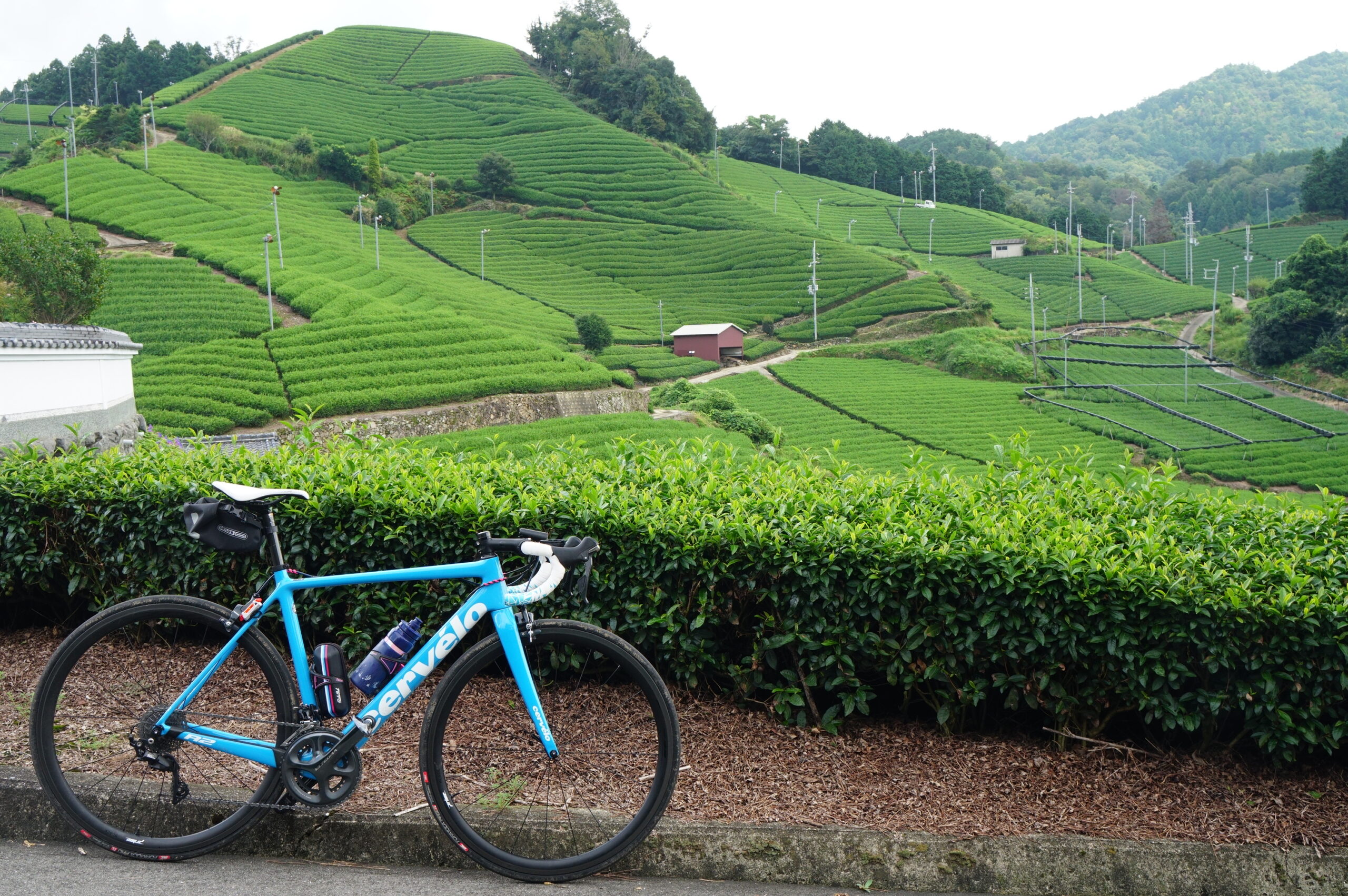 日本の原風景「和束の茶畑」へ【自転車×日記】 - RAMUNEのロードバイク